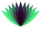 Ventuari